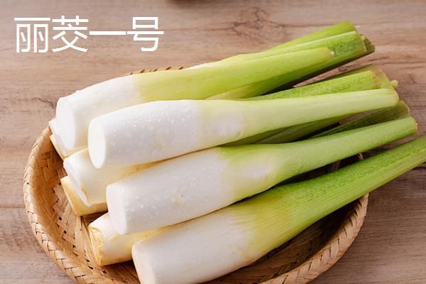 茭白是什么植物，属于多年生浅水草本植物