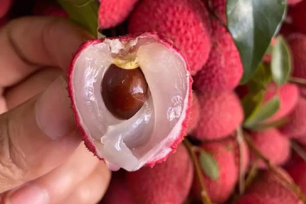 荔枝的品种，常见的有妃子笑、桂味和元红