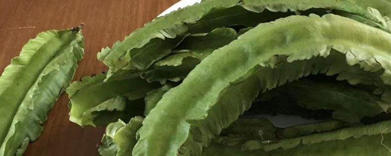 四棱豆种植技术与时间