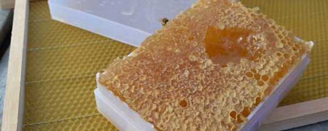 蜂巢蜜嚼后的渣渣能吃吗？