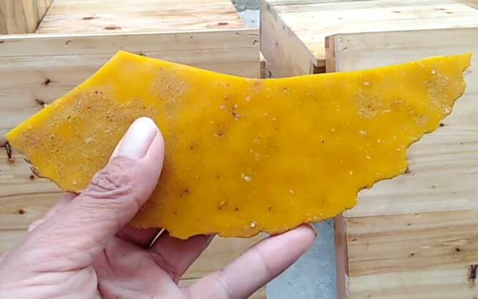 蜂蜡多少钱一斤正宗的？