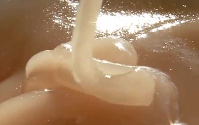 黑蜂蜜是什么蜂蜜？