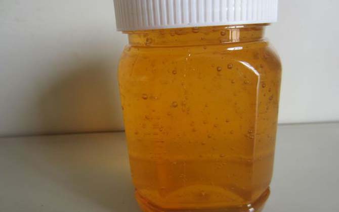 伊犁黑蜂蜂蜜